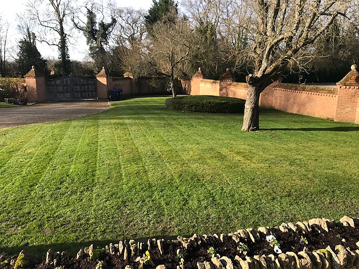 Lawn Mowing & Lawn Care