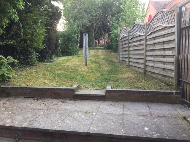 A side garden taken back to the fences