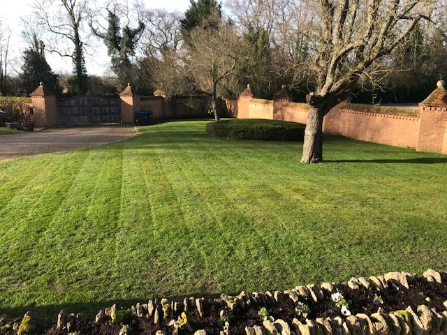 A larger lawn mown around a mature tree and a brick boundary wall, with the border edge cut back cleanly and the clippings taken away.